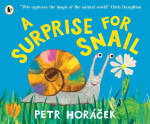 Surprise for Snail - Petr Horáček