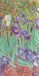 2025 DP 12 Van Gogh’s Irises