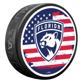 Mustang Puk Florida Panthers NHL Patriot