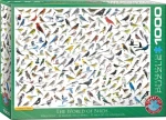 EUROGRAPHICS Puzzle Svět ptáků