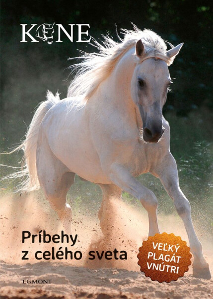 Kone - Príbehy z celého sveta - Kolektiv