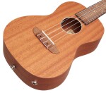 Ortega RFU11SE