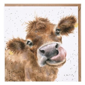 Přání Wrendale Designs Mooooo, 15x15 cm - Kráva