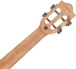 Flight IRIS TINTA CONCERT TDB