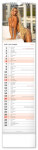 Nástěnný kalendář vázankový/kravata 2026 NOTIQUE - Spicy Girls, 12 x 48 cm