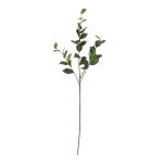 Bloomingville Umělá květina Eucalyptus Green 110 cm, zelená barva, plast