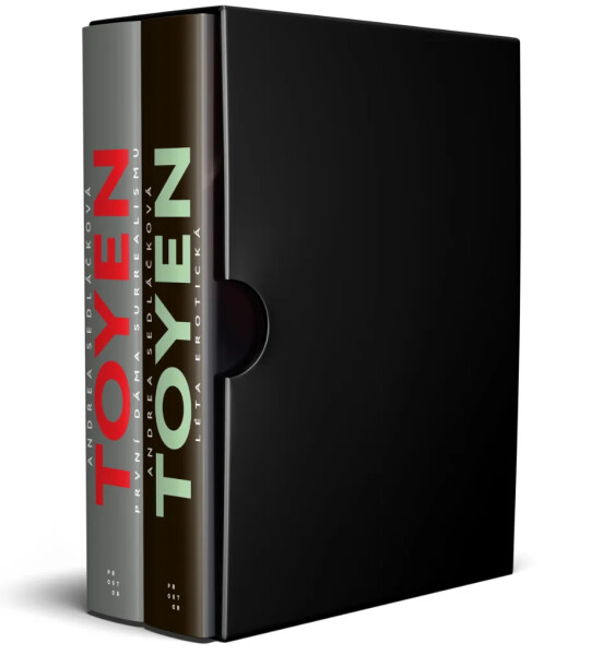 Toyen BOX 1-2 - Andrea Sedláčková