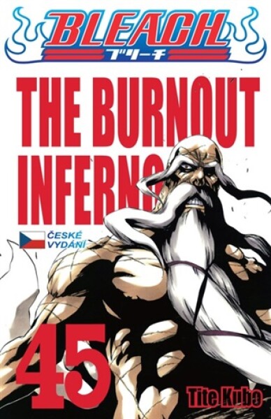 Bleach 45: The Burnout Inferno
