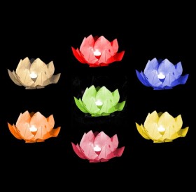 Ptakoviny.cz Lampion vodní růžový