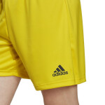 Pánské šortky Entrada 22 M model 18338738 S - ADIDAS