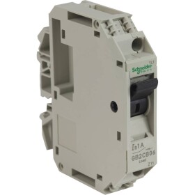 Schneider Electric GB2CB06 elektrický jistič