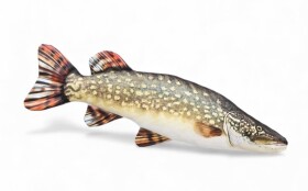 Gaby Polštář Štika říční mini 45cm,Gaby Polštář Štika říční mini 45cm