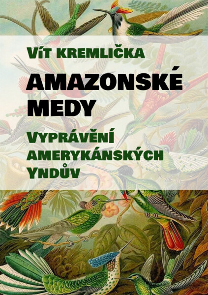 Amazonské Medy - Vyprávění amerykánských Yndův - Vít Kremlička