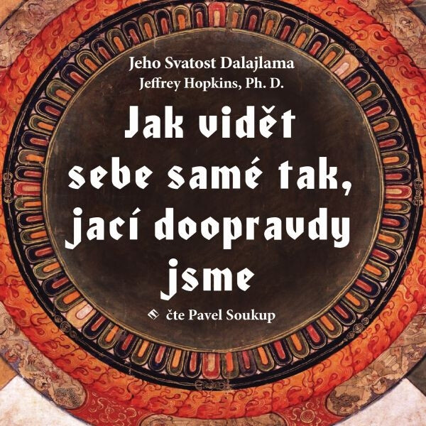 Jak vidět sebe samé tak, jací doopravdy jsme - Jeho svatost Dalajlama XIV.
