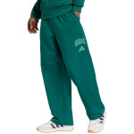 Kalhoty adidas Collegiate M JM9178 L