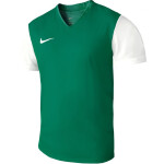 Pánské boty Dri-Fit Tiempo Premier 2 M DH8035 302 - Nike XXL