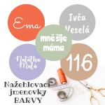 Jmenovky na oblečení, různé BARVY, 22mm, 22ks