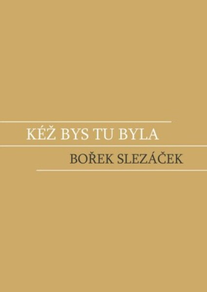 Kéž bys tu byla - Bořek Slezáček - e-kniha