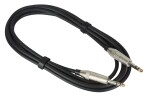 Bespeco XCS300