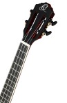 Ortega RTPS Tenor NAT