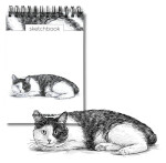 Skicovací spirálový notes A6 - Kočka