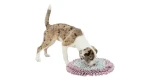 TRIXIE 32039 JUNIOR Dog Activity čichací koberec 38 cm (4011905320397)