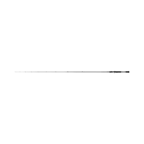 Shimano Prut Curado Casting Fast 2,18m 7-21g