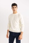 DEFACTO Standard Fit Crew Neck Knitwear Sweater