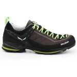 Pánská treková obuv Salewa MS MTN Trainer 2 L M 61357-0471 EU 40