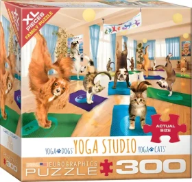 EUROGRAPHICS Puzzle Jóga studio XL