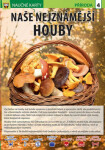 Naše nejznámější houby