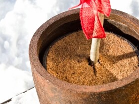 Kokosový disk – Coir Fiber Ring 1000 g/m², ø 40 cm