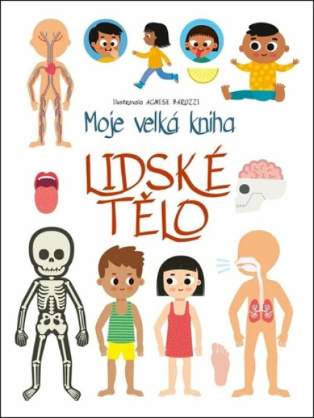 Moje velká kniha Lidské tělo - Agnese Baruzziová