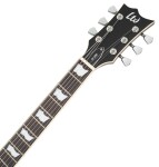 ESP LTD EC-256 VN