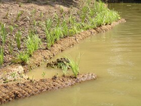 Kokosový válec na zachytávání splachu půdy – Coir Log 2020 EKO - ø 20 cm, délka 4 m