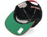 Mitchell & Ness Pánská kšiltovka Detroit Red Wings NHL Team 2 Tone 2.0 Pro Snapback