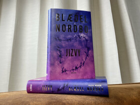 Jizvy - Sara Blaedelová, Mads Peder Nordbo