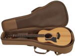Taylor GS Mini Sapele LH