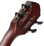 Ortega RTPX Tenor ACA