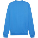 Pánská mikina Puma Team Goal Casuals Crew Neck 658592 02