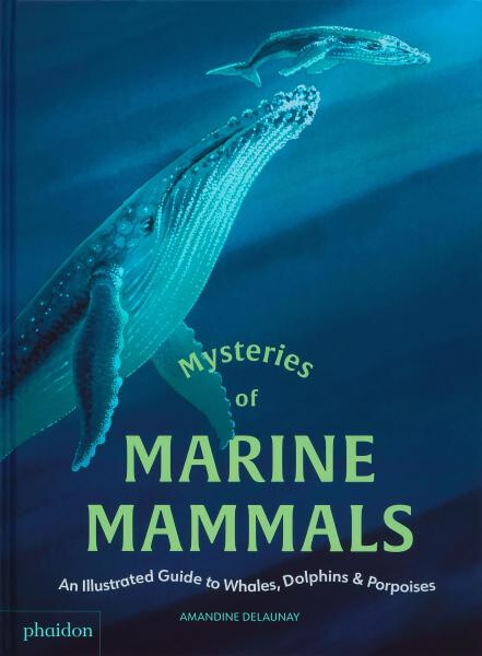 Mysteries of Marine Mammals - Amandine Delaunay