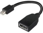Lenovo 4X90L13971 / Redukce / Mini DisplayPort (M) - DisplayPort (F) / Černá (4X90L13971)