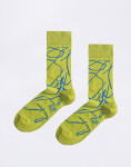 Ferdinand Roots 36-39