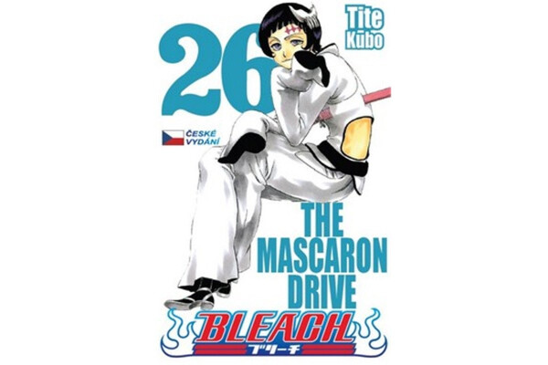 Bleach 26: