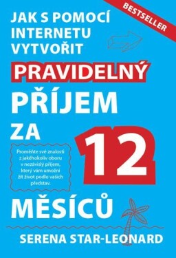 Pravidelný příjem za 12 měsíců