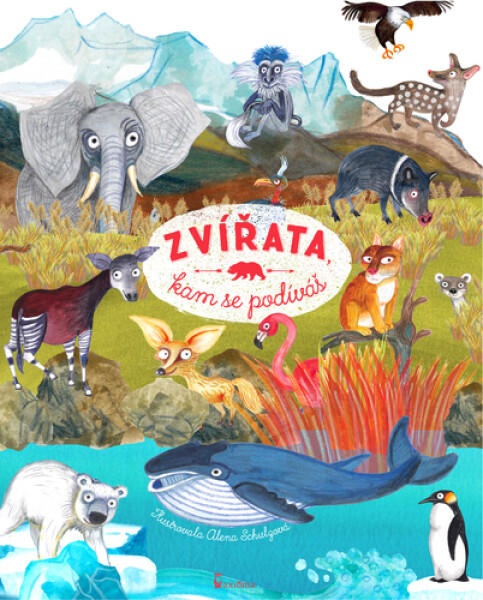 Zvířata, kam se podíváš Ivana Kocmanová
