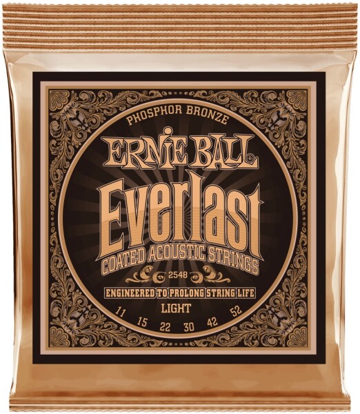 Ernie Ball 2548 Everlast Phosphor Bronze Light