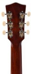 Sigma Guitars SLR-SG00