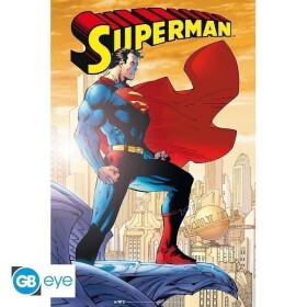 Plakát Maxi 91,5x61cm - DC Comics - Superman