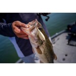 Berkley Wobler Choppo MF Frog - 12cm,Berkley Wobler Choppo MF Frog - 12cm